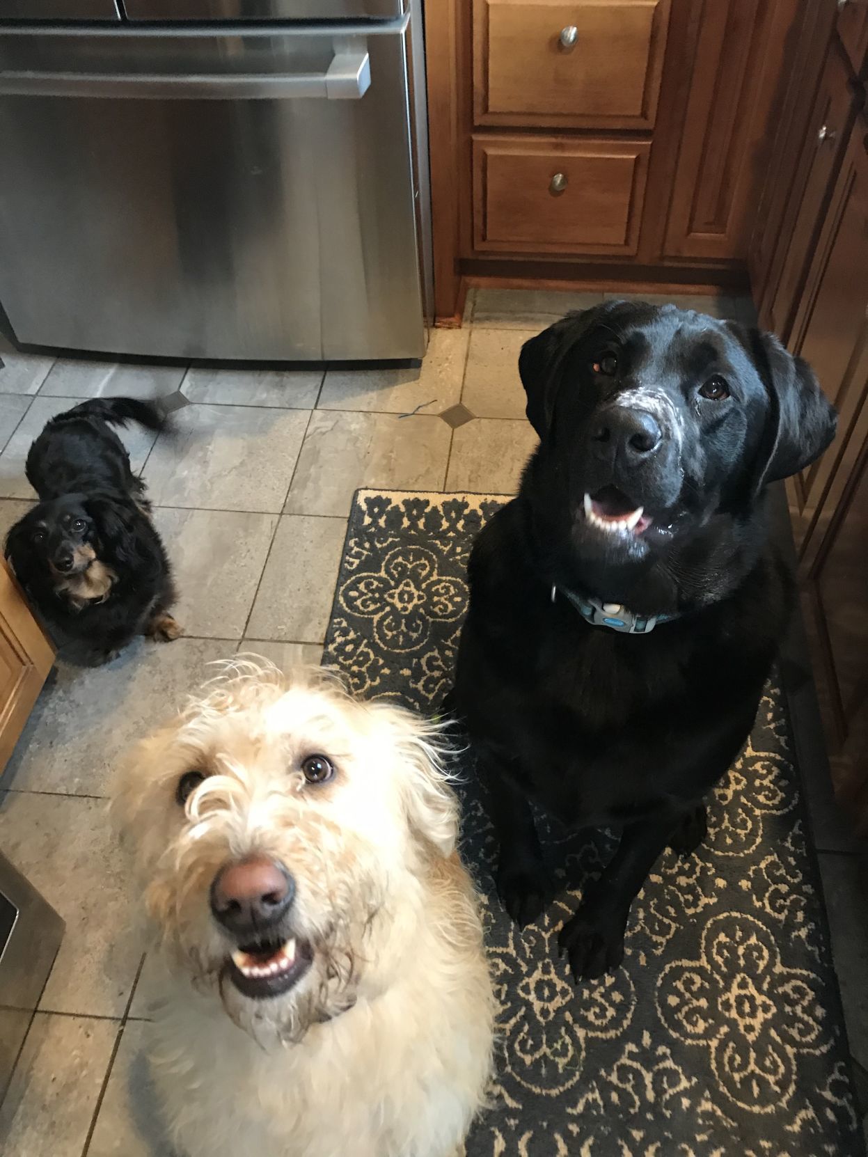 Maybel, Daisy and Ben
